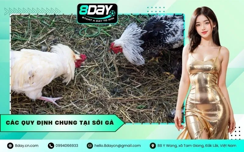 Các Quy Định Chung Tại Sới Gà