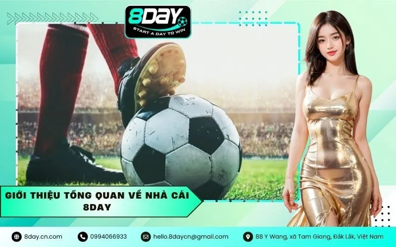 Giới Thiệu Tổng Quan Về Nhà Cái 8Day