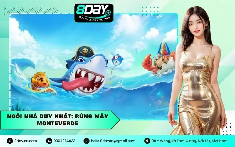 Ngôi Nhà Duy Nhất: Rừng Mây Monteverde