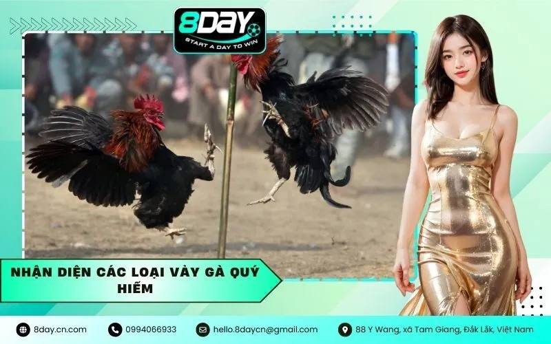 Nhận diện các loại vảy gà quý hiếm