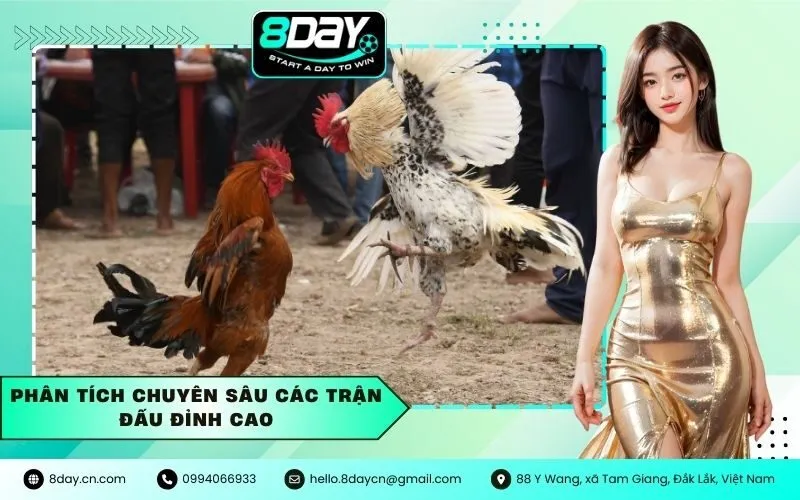 Phân Tích Chuyên Sâu Các Trận Đấu Đỉnh Cao