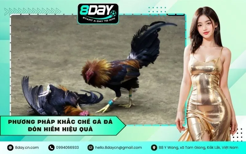 Phương Pháp Khắc Chế Gà Đá Đòn Hiểm Hiệu Quả