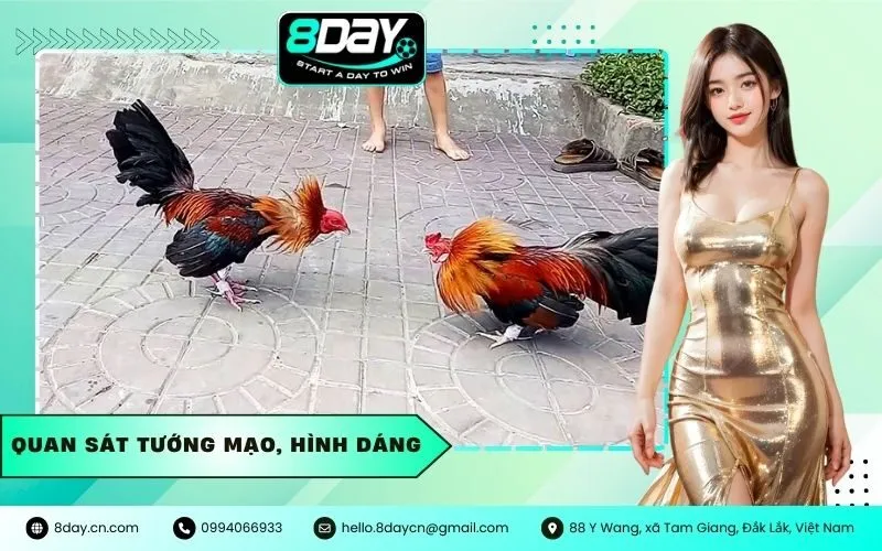 Quan Sát Tướng Mạo, Hình Dáng