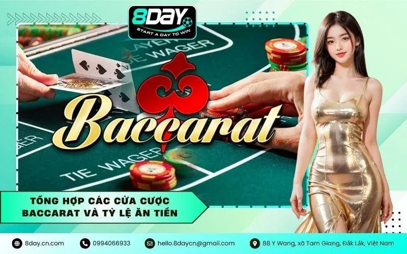 Tổng Hợp Các Cửa Cược Baccarat và Tỷ Lệ Ăn Tiền