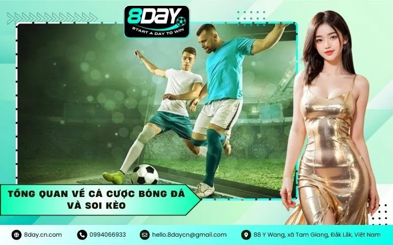 Tổng Quan Về Cá Cược Bóng Đá Và Soi Kèo
