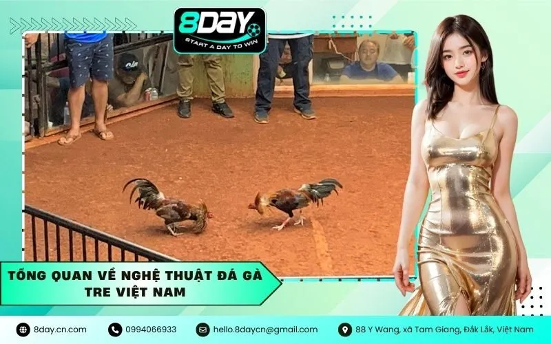 Tổng Quan Về Nghệ Thuật Đá Gà Tre Việt Nam