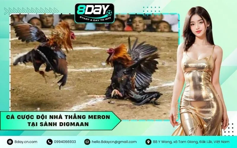 Cá cược đội nhà thắng Meron tại sảnh Digmaan