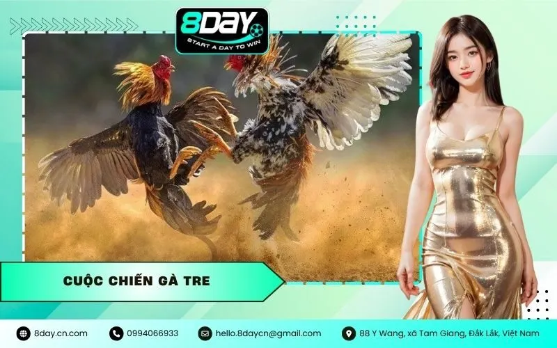 Cuộc chiến gà tre