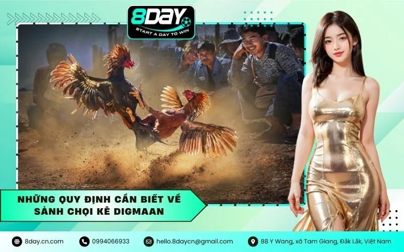 Những quy định cần biết về sảnh chọi kê Digmaan